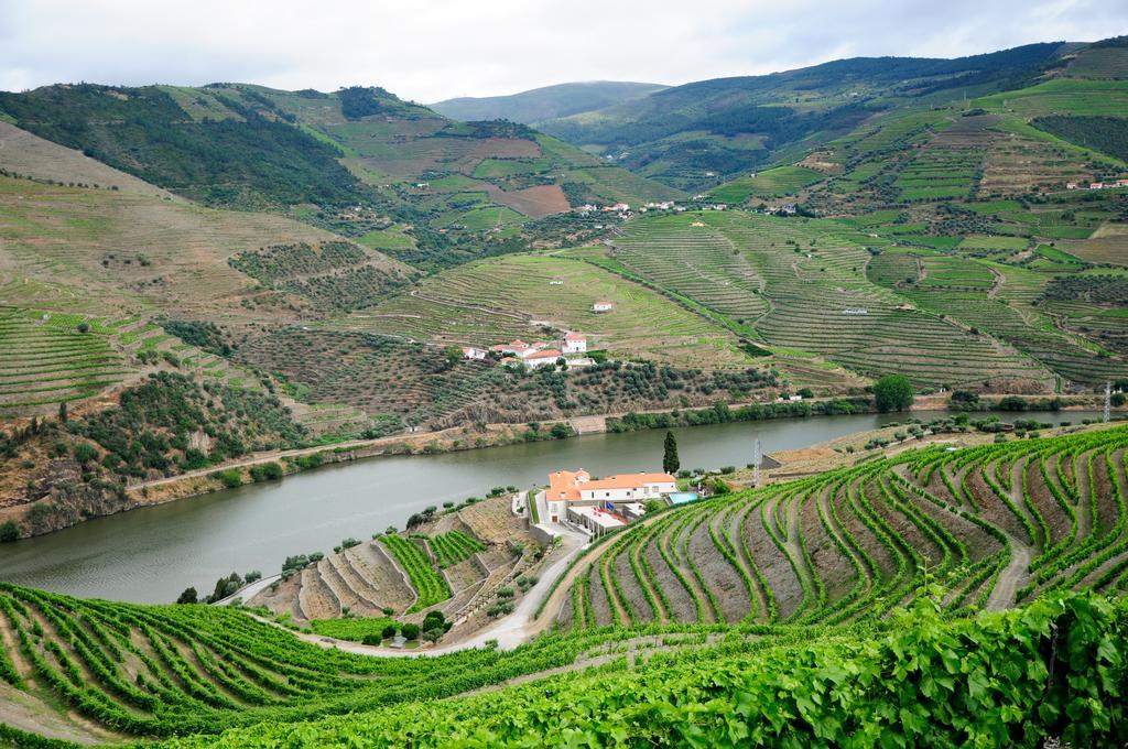 Hotel Rural Quinta Do Pego Tabuaço Exterior foto